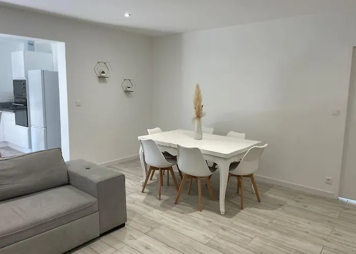 Maison Avec Jardin Et Terrasse Labruguière