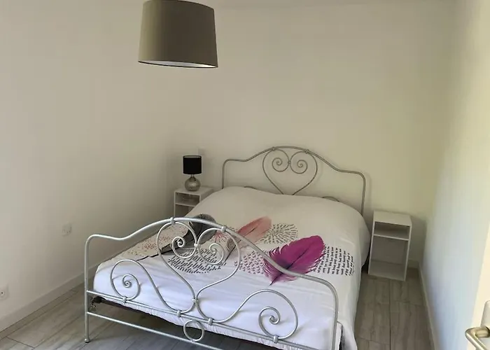 Maison Avec Jardin Et Terrasse * Labruguière