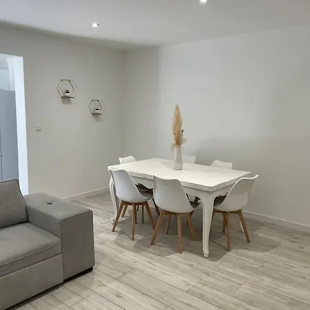 Maison Avec Jardin Et Terrasse Labruguière